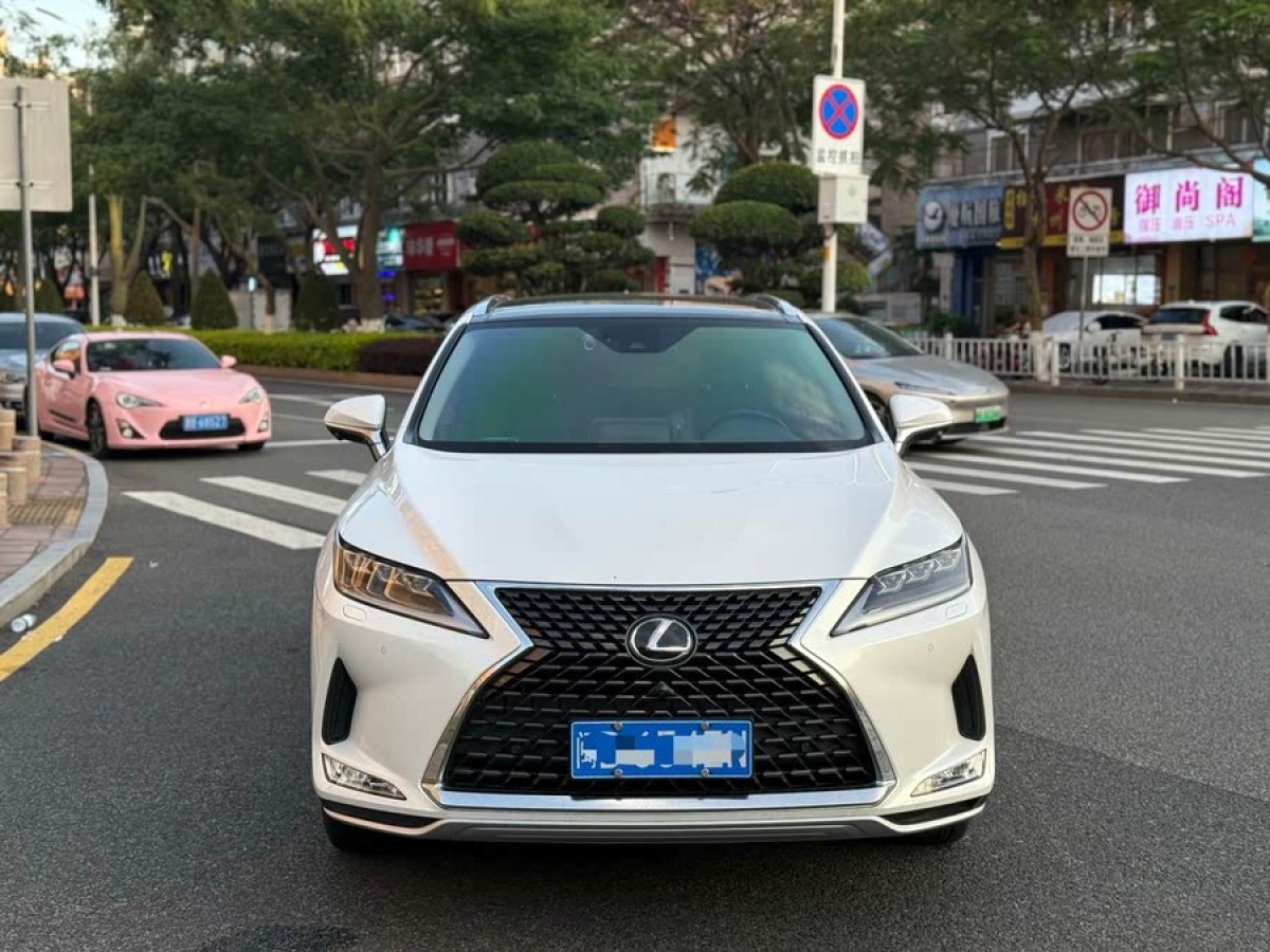 雷克薩斯 RX  2020款 300 四驅(qū)典雅版 國(guó)VI圖片