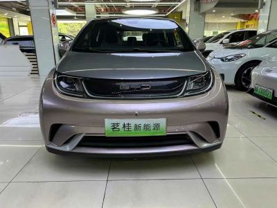 2022年3月 开瑞 海豚EV 智享型图片