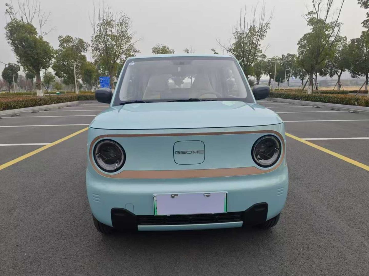 吉利 熊貓mini  2024款 200km 熊貓騎士圖片