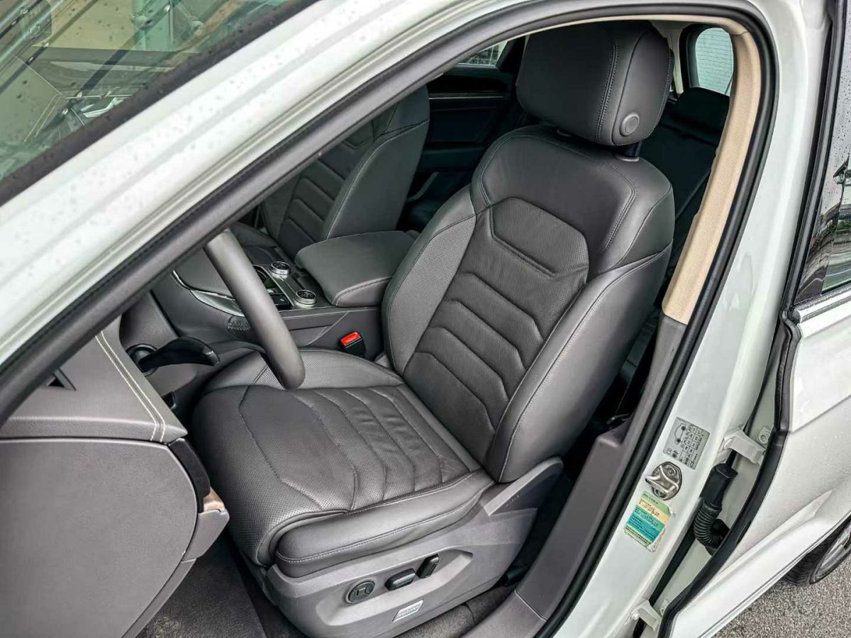大眾 途銳  2019款 2.0TSI 銳翼版圖片
