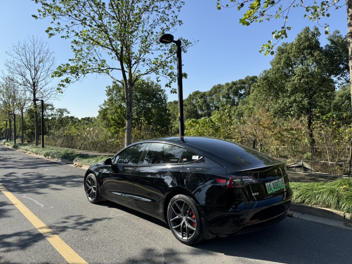 特斯拉 Model Y  2021款 Performance高性能全輪驅(qū)動(dòng)版圖片