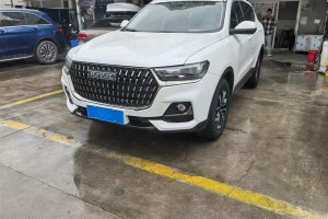 H6 哈弗 國潮版 1.5T 自動(dòng)都市版