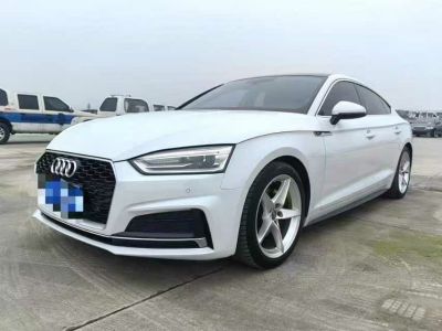 2017年1月 奧迪 奧迪A5(進(jìn)口) A5 40TFSI Cabriolet 時(shí)尚型圖片