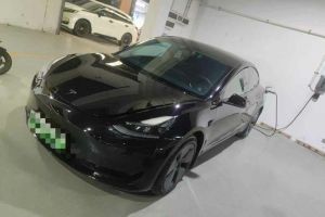 Model S 特斯拉 三電機全輪驅動 Plaid版