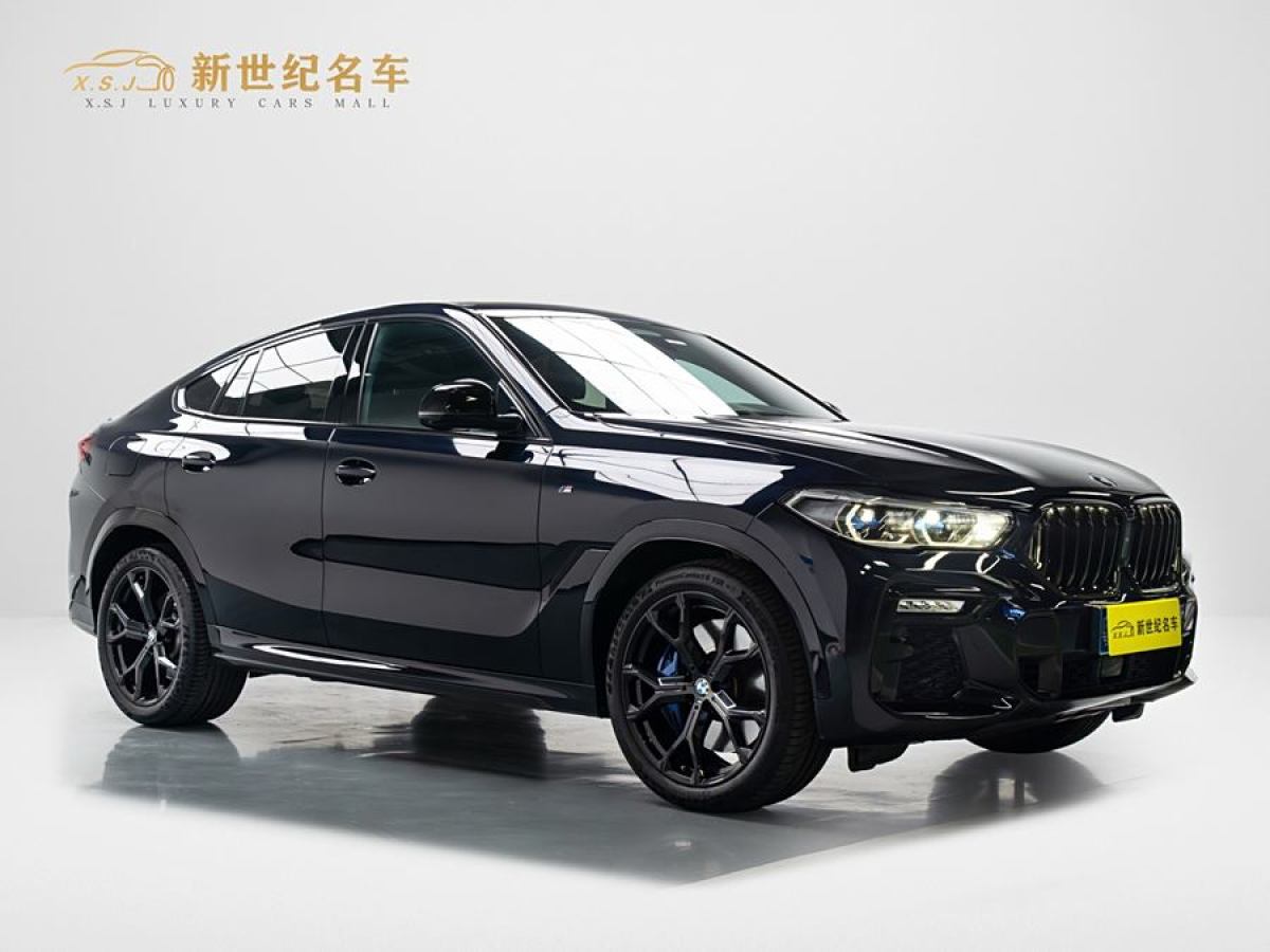 寶馬 寶馬X6  2020款 xDrive40i 尊享型 M運動套裝圖片