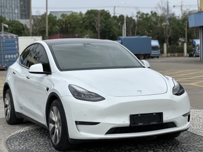 2021年4月 特斯拉 Model Y 改款 長(zhǎng)續(xù)航全輪驅(qū)動(dòng)版圖片