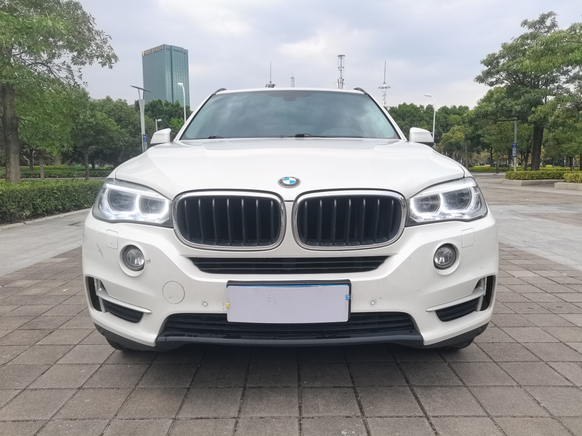 寶馬 寶馬X5  2014款 xDrive35i 領(lǐng)先型圖片