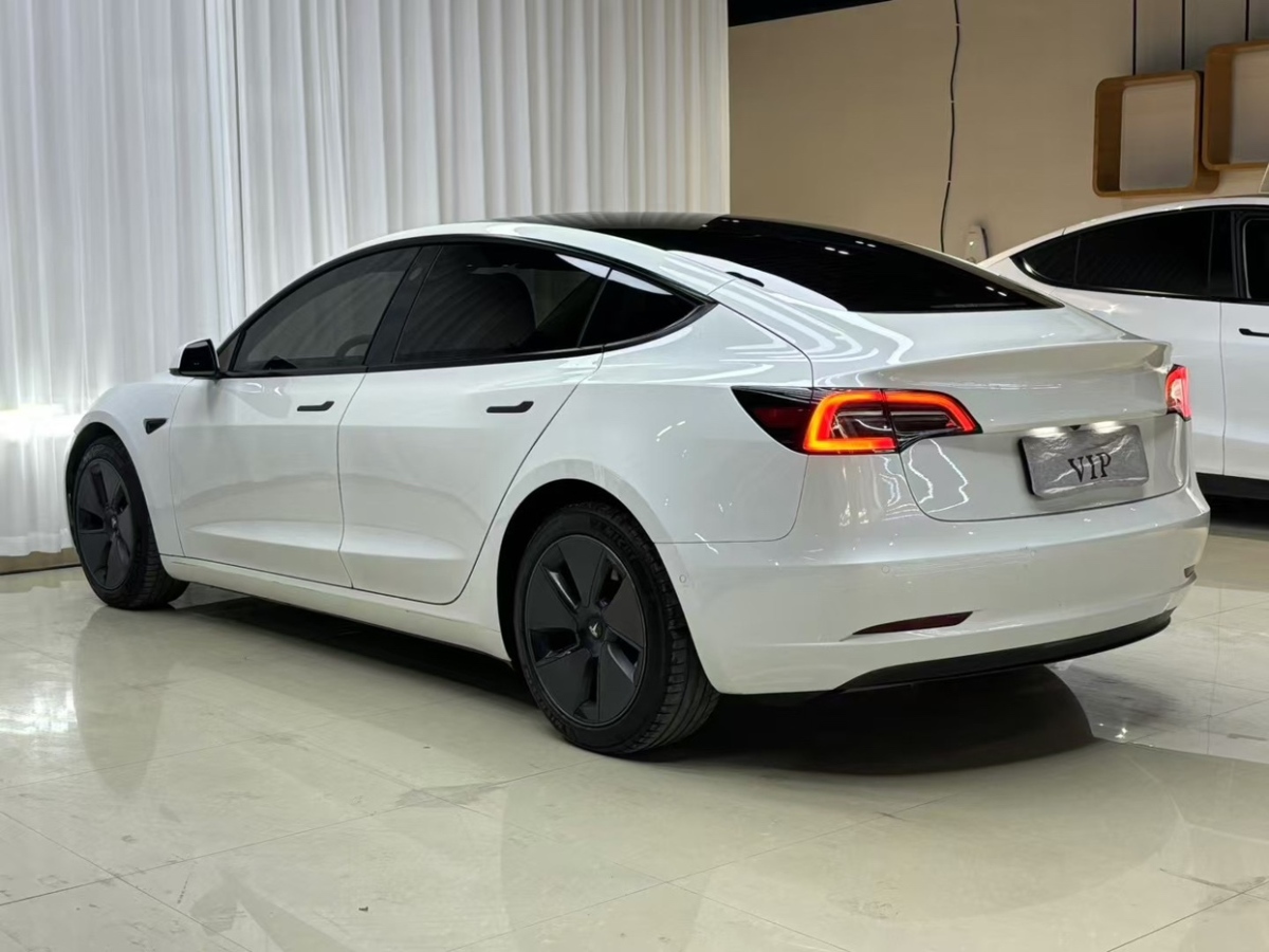 特斯拉 Model 3  2021款 標(biāo)準(zhǔn)續(xù)航后驅(qū)升級(jí)版 3D6圖片