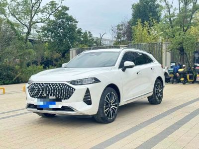 2022年1月 長(zhǎng)城 摩卡DHT-PHEV 1.5T 0焦慮性能版圖片