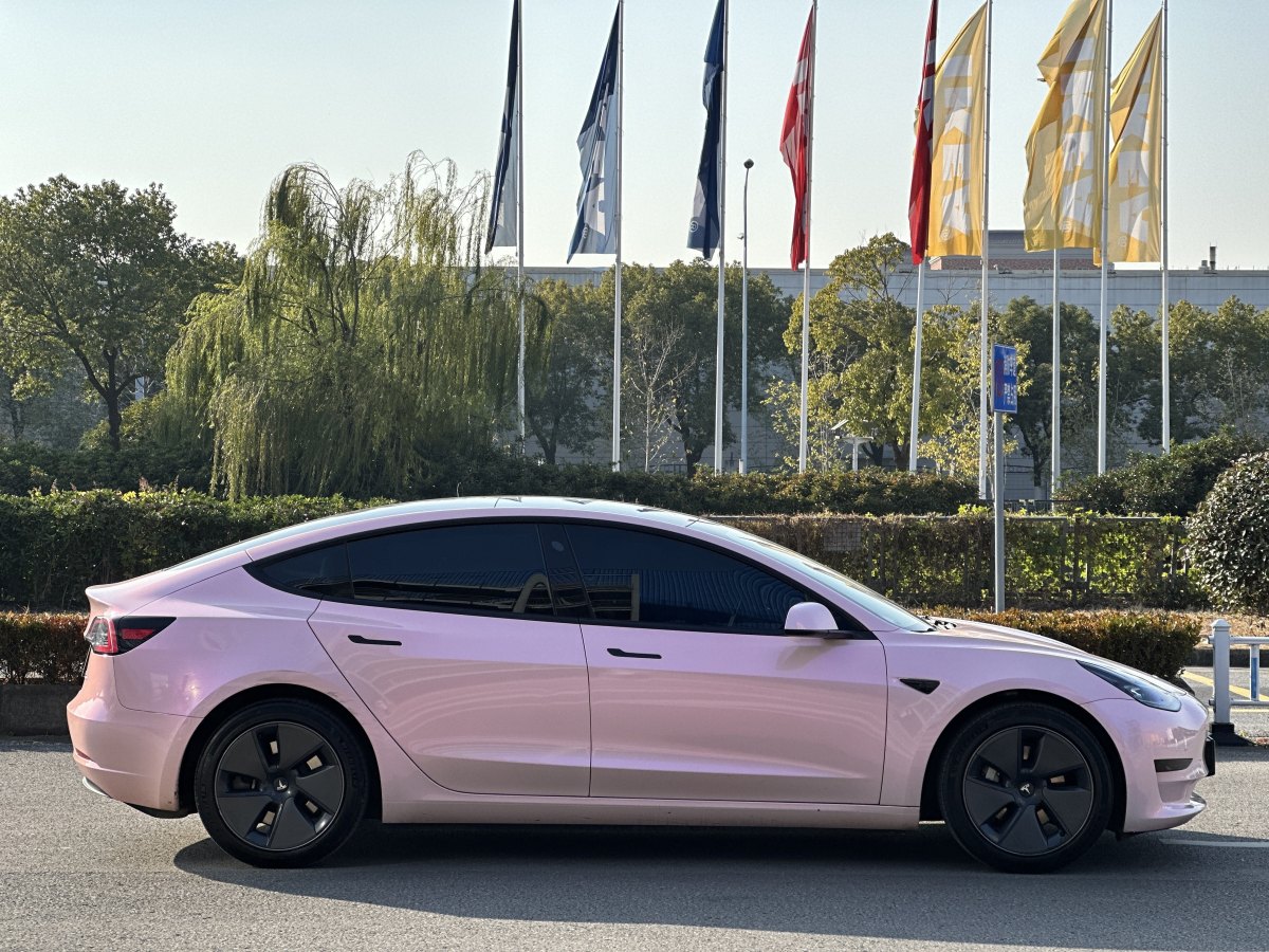 特斯拉 Model Y  2022款 改款 后輪驅(qū)動(dòng)版圖片