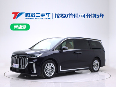 2024年1月 嵐圖 夢想家 PHEV 超長續(xù)航尊貴版圖片