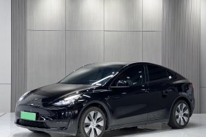 Model Y 特斯拉 改款 长续航后轮驱动版