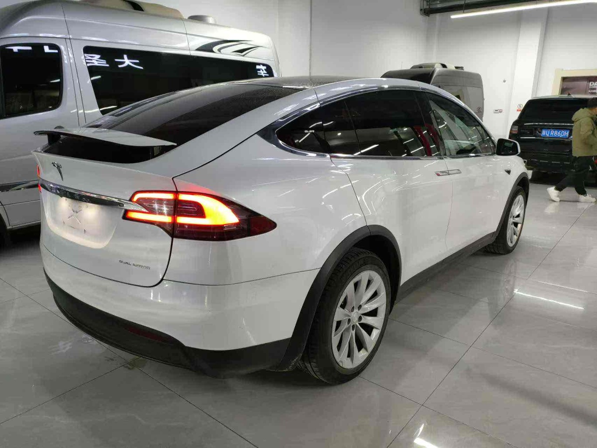 特斯拉 Model X  2019款 長續(xù)航版圖片