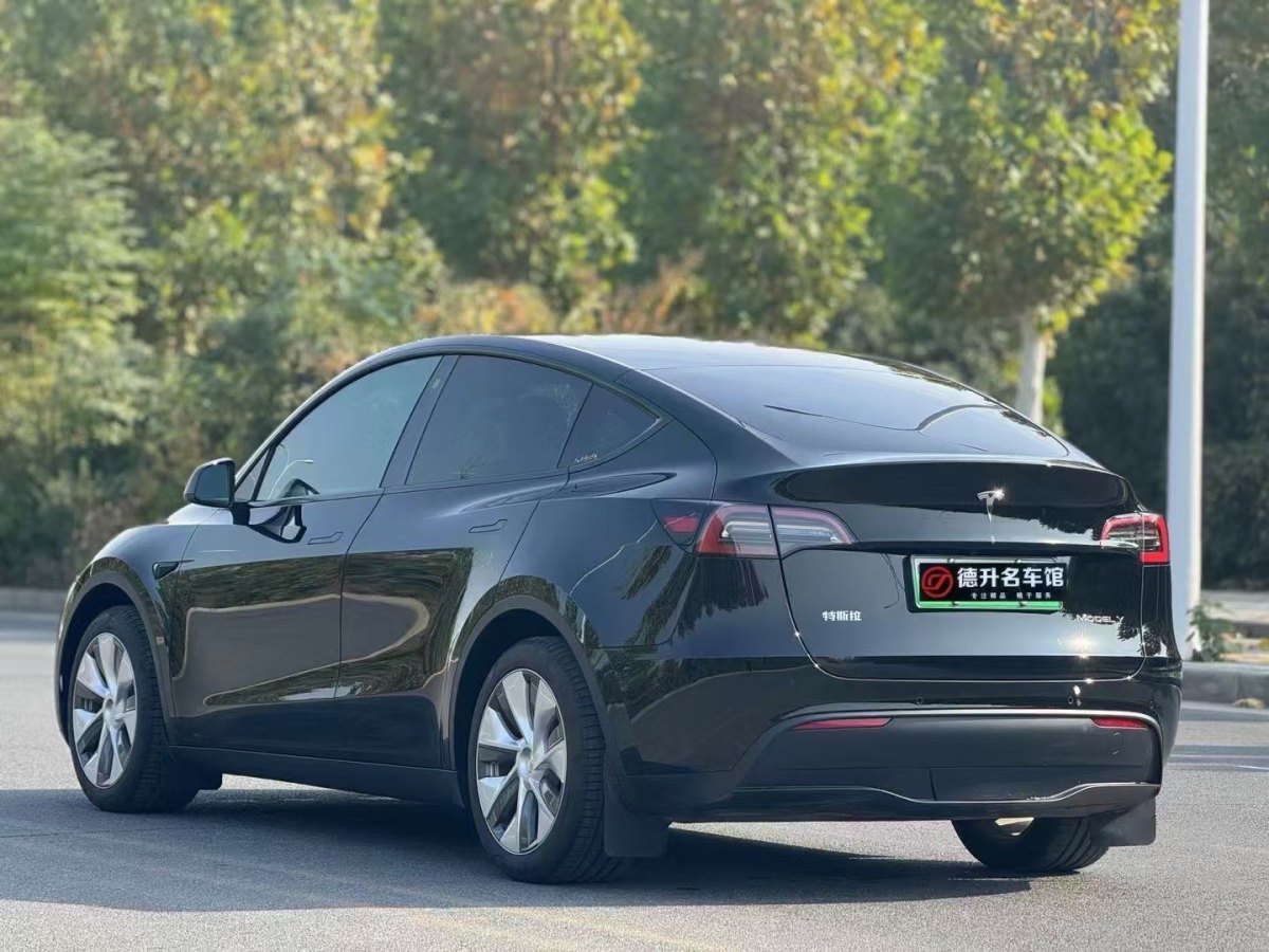 特斯拉 Model Y  2020款 改款 長(zhǎng)續(xù)航后輪驅(qū)動(dòng)版圖片