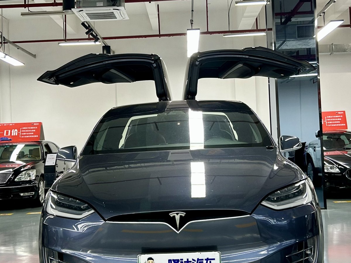 特斯拉 Model X  2019款 長(zhǎng)續(xù)航版圖片