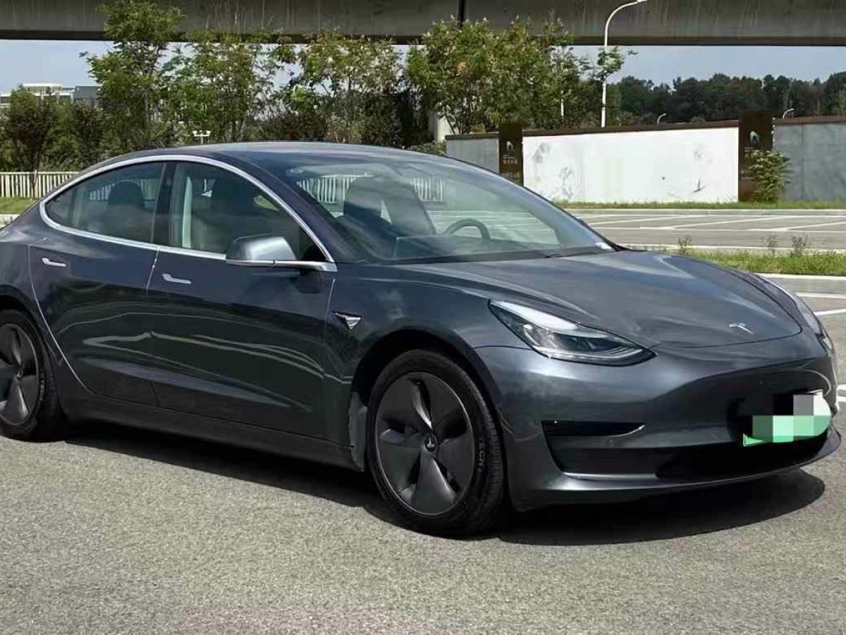 特斯拉 Model X  2020款 Performance 高性能版圖片