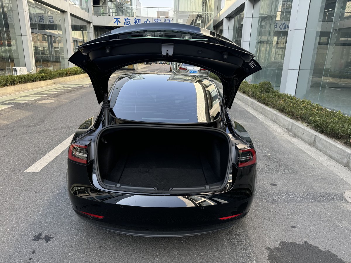 特斯拉 Model 3  2021款 標準續(xù)航后驅升級版 3D6圖片