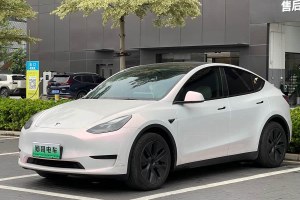 Model Y 特斯拉 后輪驅(qū)動(dòng)版