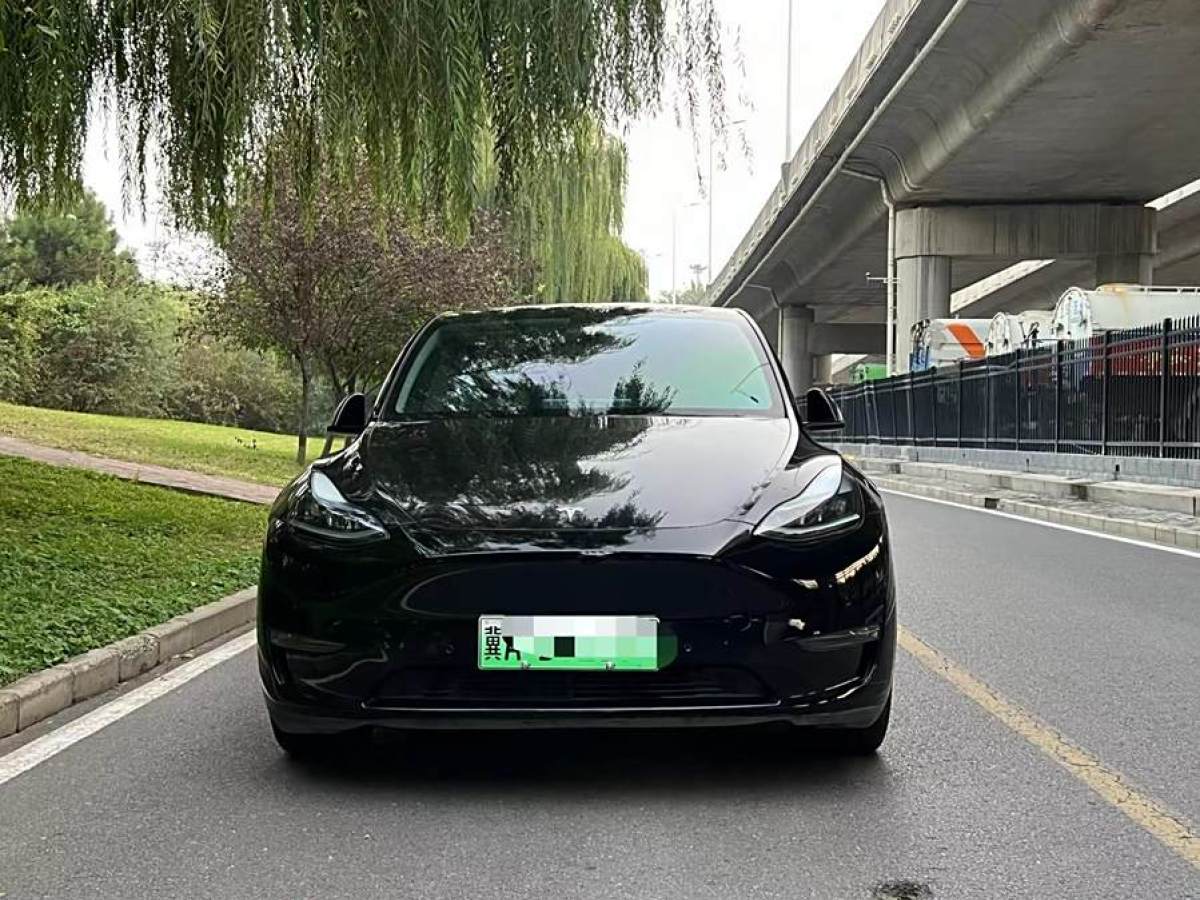 特斯拉 Model Y  2021款 改款 標準續(xù)航后驅升級版圖片