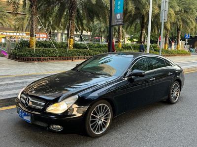 2010年1月 奔馳 奔馳CLS級(進口) CLS 300圖片