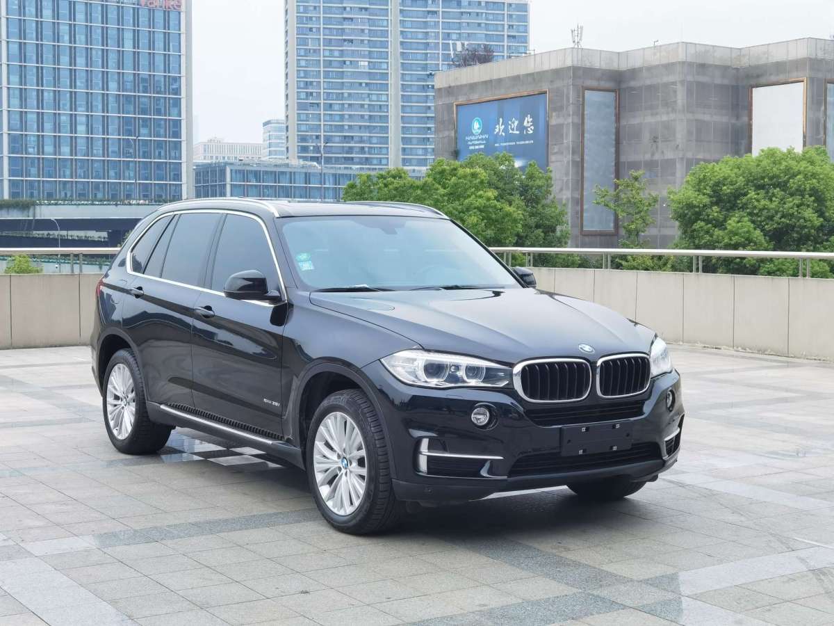 2017年10月寶馬 寶馬X5  2017款 xDrive35i 領(lǐng)先型