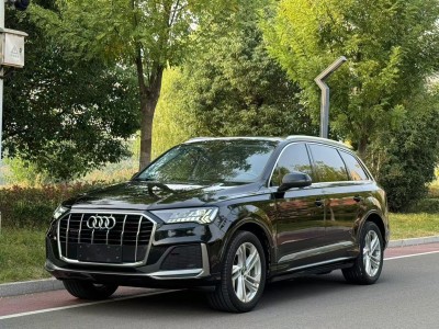 2021年4月 奧迪 奧迪Q7(進(jìn)口) 45 TFSI quattro S line運(yùn)動型圖片