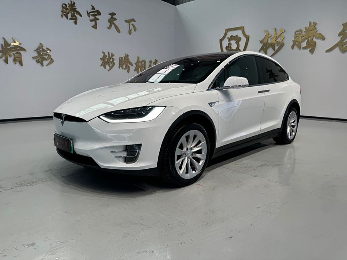 特斯拉 Model X  2016款 Model X P90D圖片