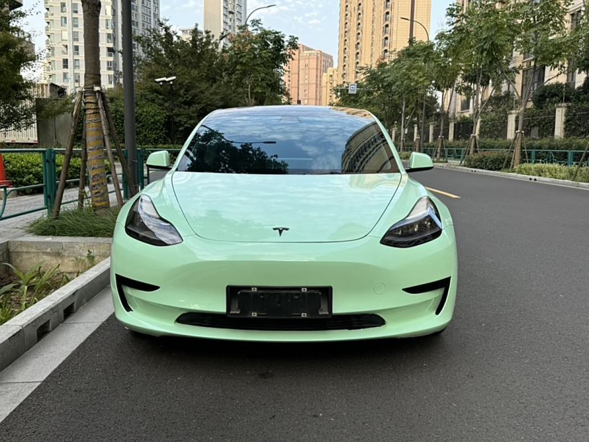 特斯拉 Model Y  2021款 改款 標(biāo)準(zhǔn)續(xù)航后驅(qū)升級(jí)版圖片