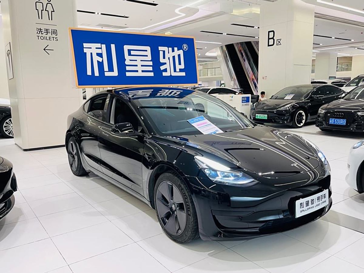 2021年2月特斯拉 Model Y  2021款 改款 標(biāo)準(zhǔn)續(xù)航后驅(qū)升級(jí)版