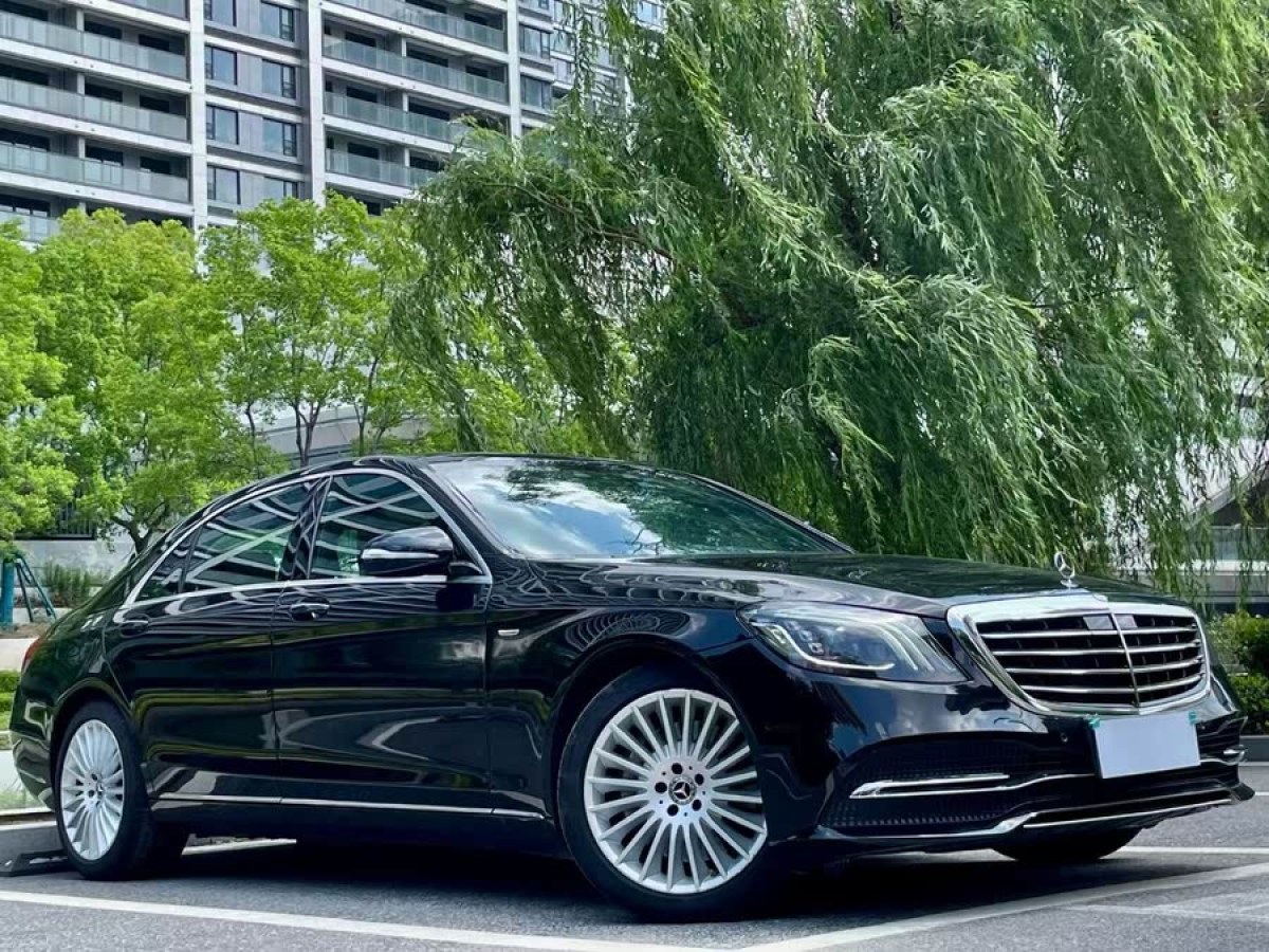 奔馳 奔馳S級(jí)  2020款 S 350 L 商務(wù)型 臻藏版圖片