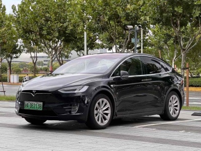 2019年10月 特斯拉 Model X 长续航版图片