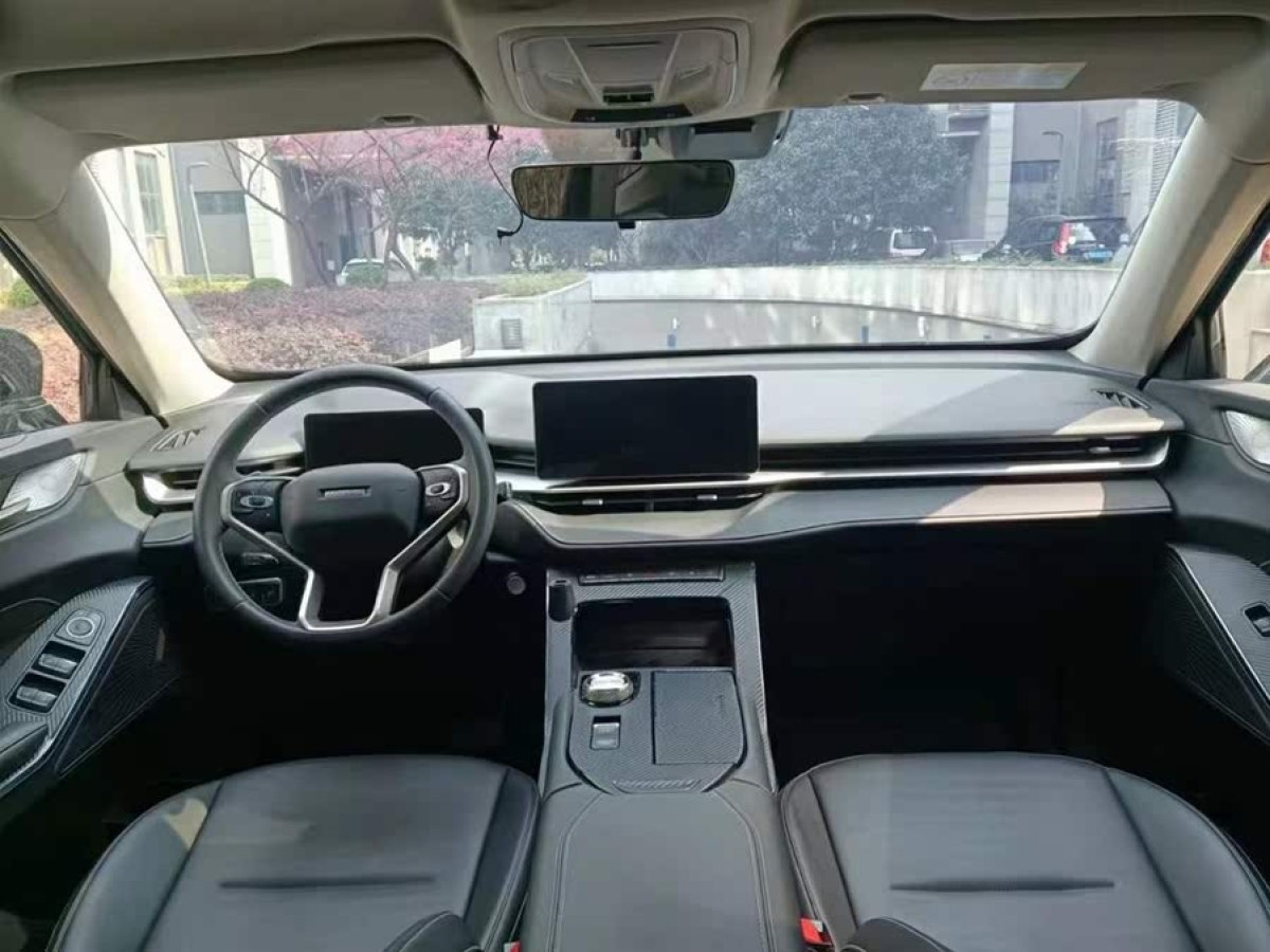 哈弗 H6  2021款 國潮版 1.5T 自動都市版圖片