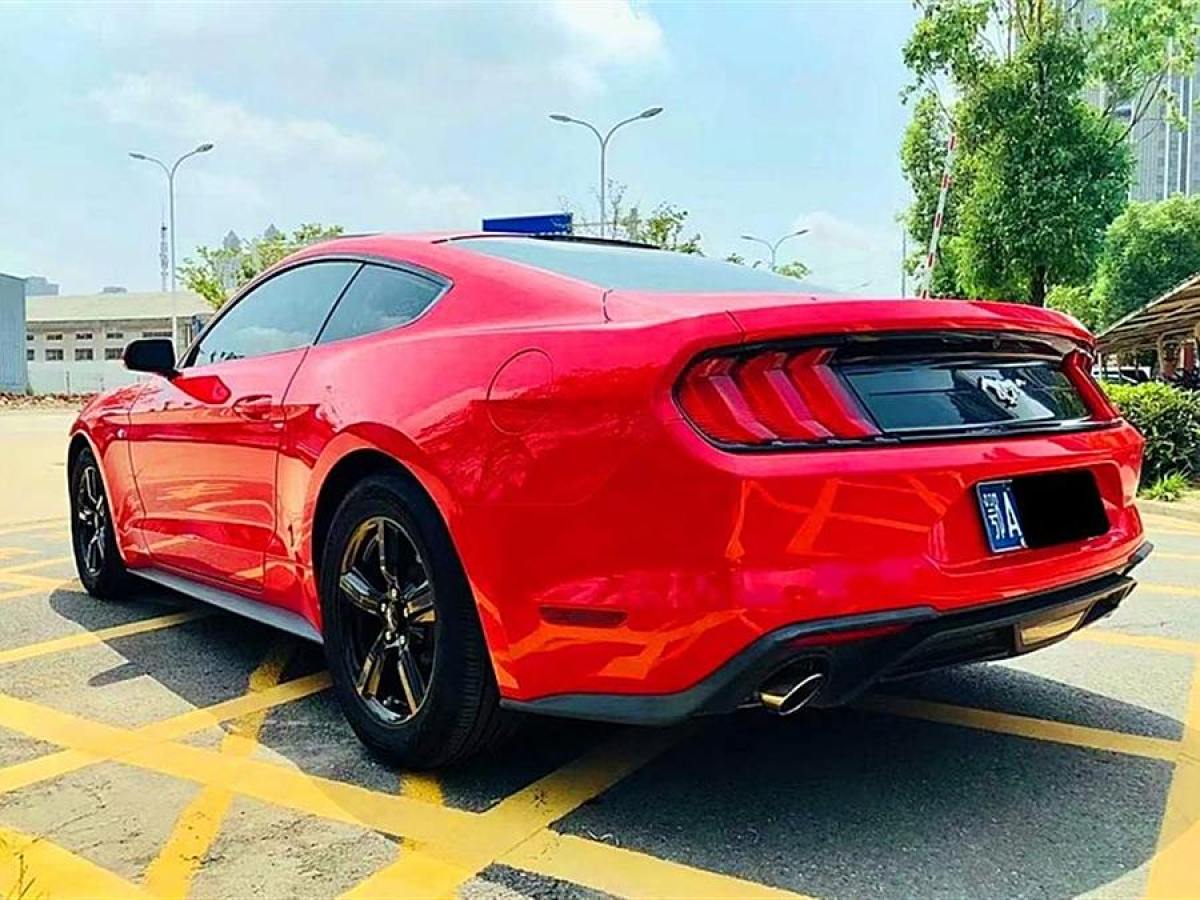 福特 Mustang  2017款 2.3T 性能版圖片