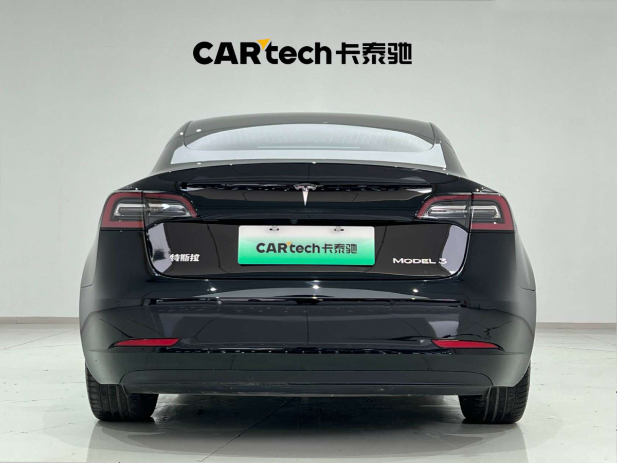 特斯拉 Model 3  2019款 標(biāo)準(zhǔn)續(xù)航后驅(qū)升級版圖片