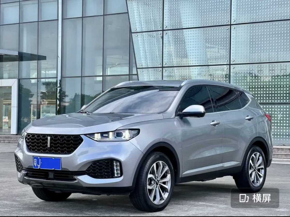 WEY VV6  2019款  2.0T 兩驅(qū)超豪型 國VI圖片