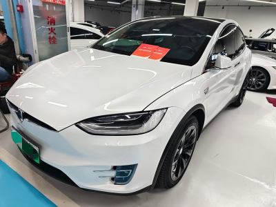 2019年3月 特斯拉 Model X 長續(xù)航版圖片