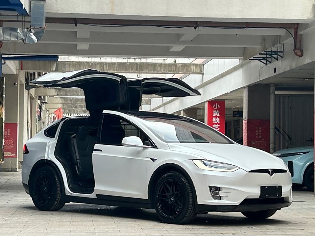 2019年7月特斯拉 Model X  2019款 長(zhǎng)續(xù)航版