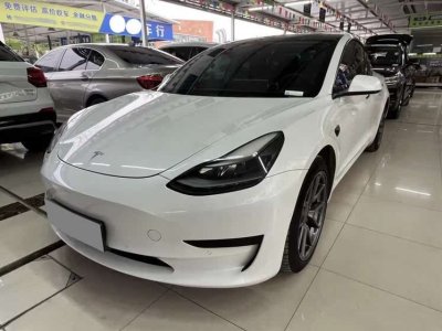 2021年3月 特斯拉 Model 3 改款 標(biāo)準(zhǔn)續(xù)航后驅(qū)升級(jí)版圖片