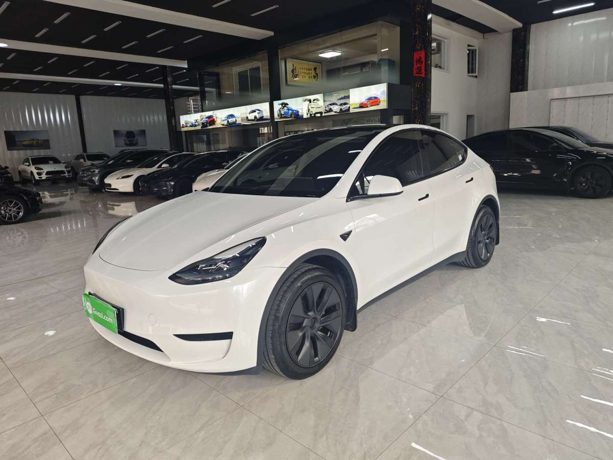 特斯拉 Model Y  2024款 后輪驅(qū)動版圖片