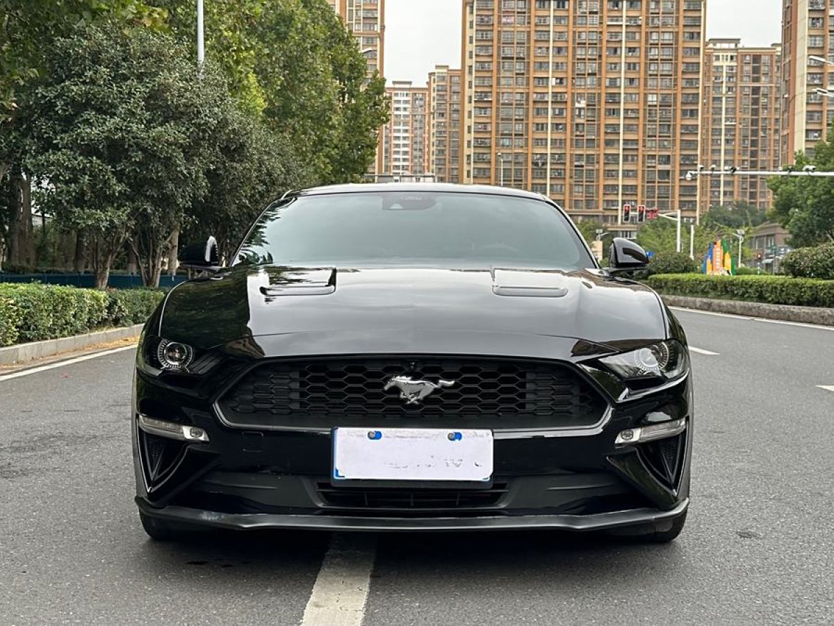 福特 Mustang  2021款 2.3L EcoBoost圖片