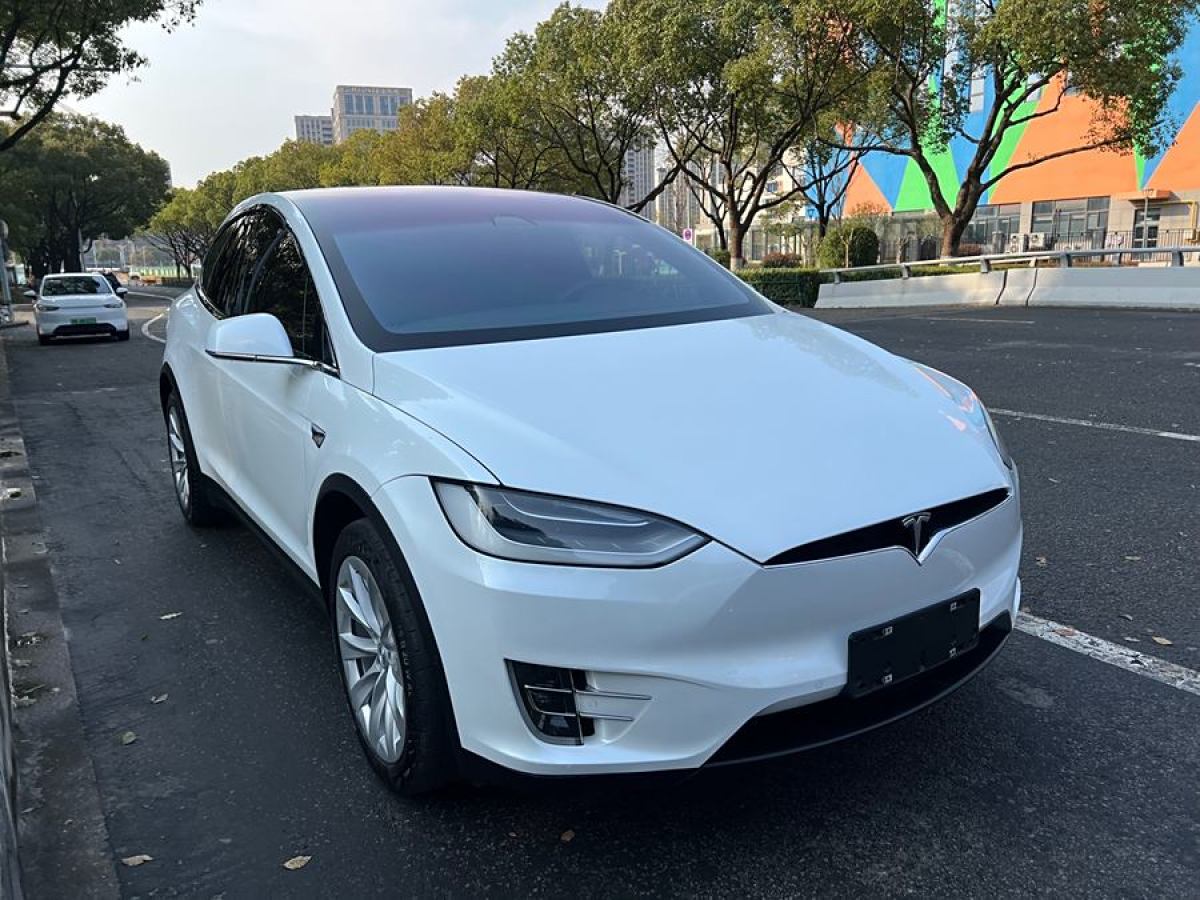 2019年11月特斯拉 Model X  2017款 Model X 100D 長續(xù)航版