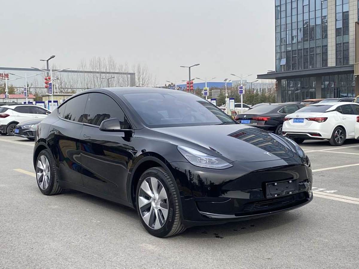 特斯拉 Model 3  2020款 改款 長續(xù)航后輪驅動版圖片