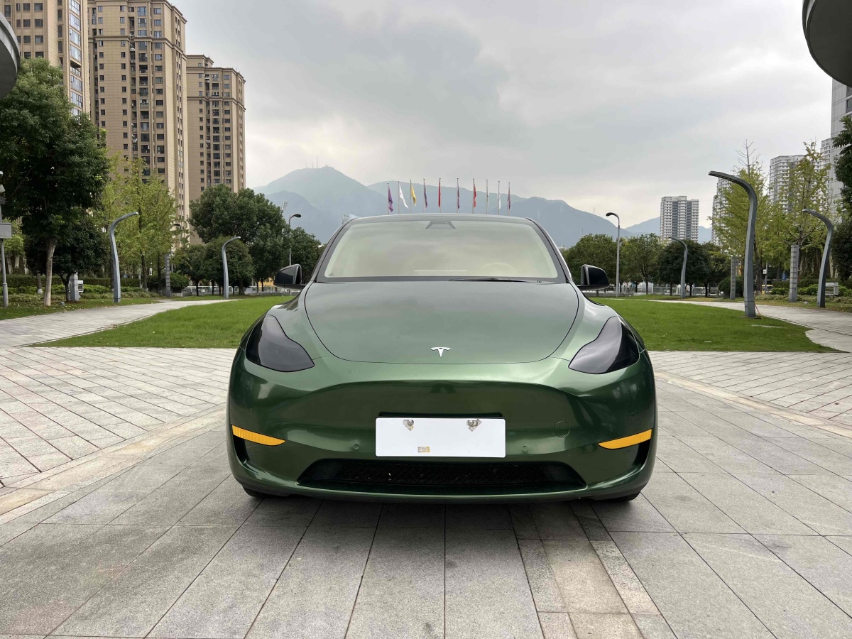 2022年8月特斯拉 Model Y  2022款 后輪驅(qū)動(dòng)版