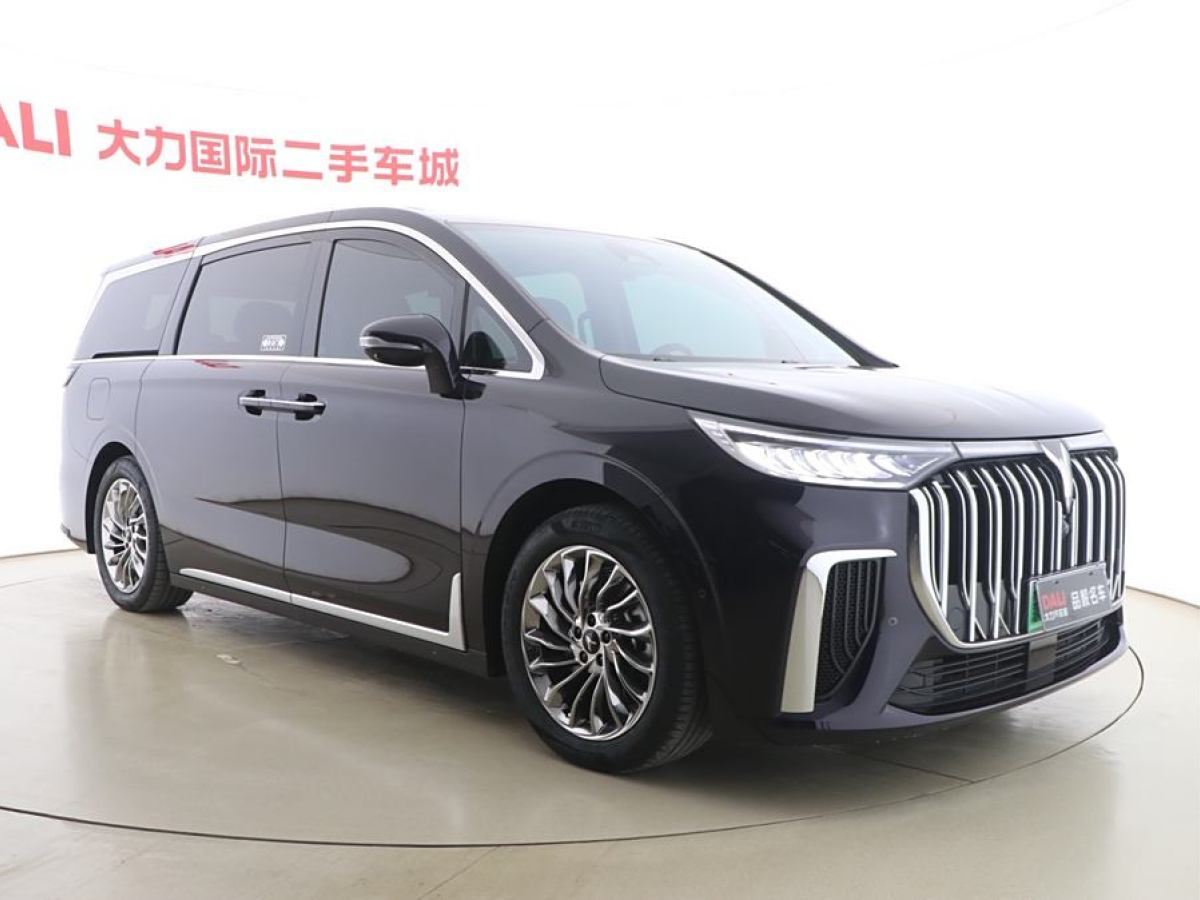 嵐圖 夢想家  2024款 PHEV 超長續(xù)航旗艦版圖片