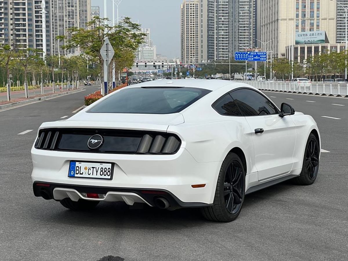 福特 Mustang  2015款 2.3T 性能版圖片