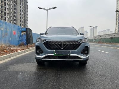 2022年11月 WEY 拿鐵DHT-PHEV 1.5T 兩驅超大杯圖片