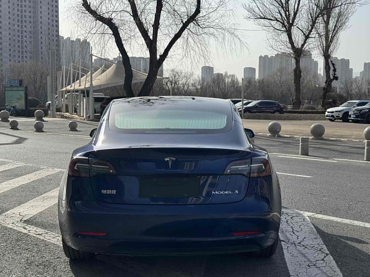 特斯拉 Model 3  2020款 改款 標準續(xù)航后驅(qū)升級版圖片