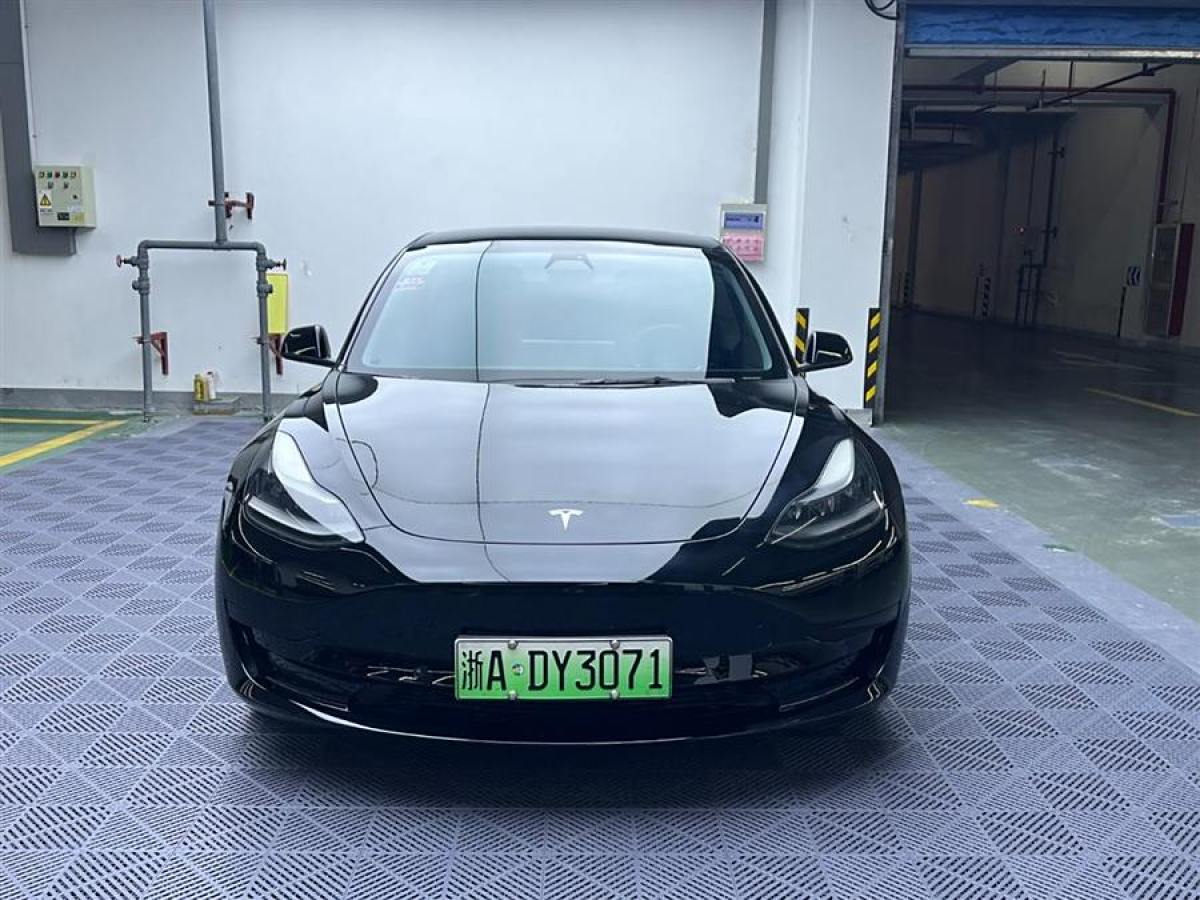 特斯拉 Model Y  2021款 标准续航后驱升级版 3D6图片