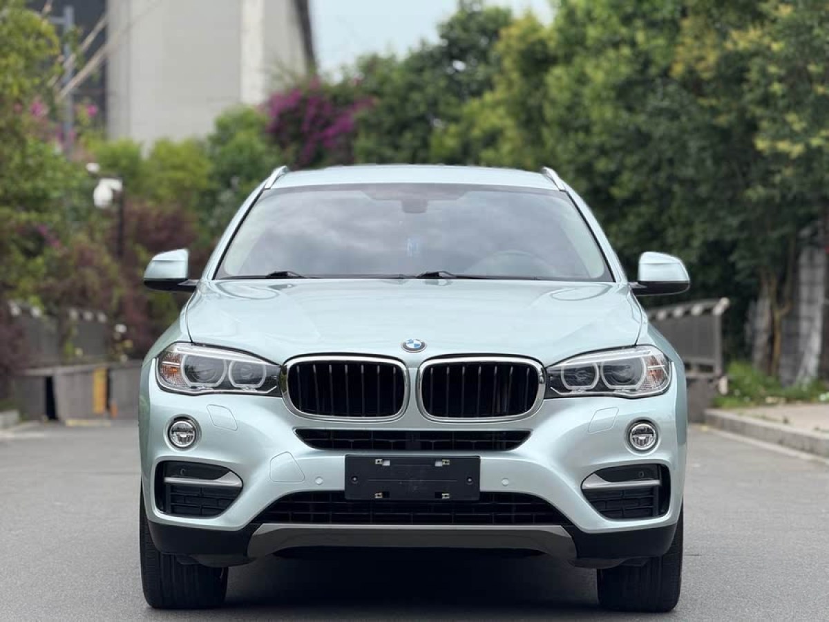 寶馬 寶馬X6  2015款 xDrive35i 豪華型圖片