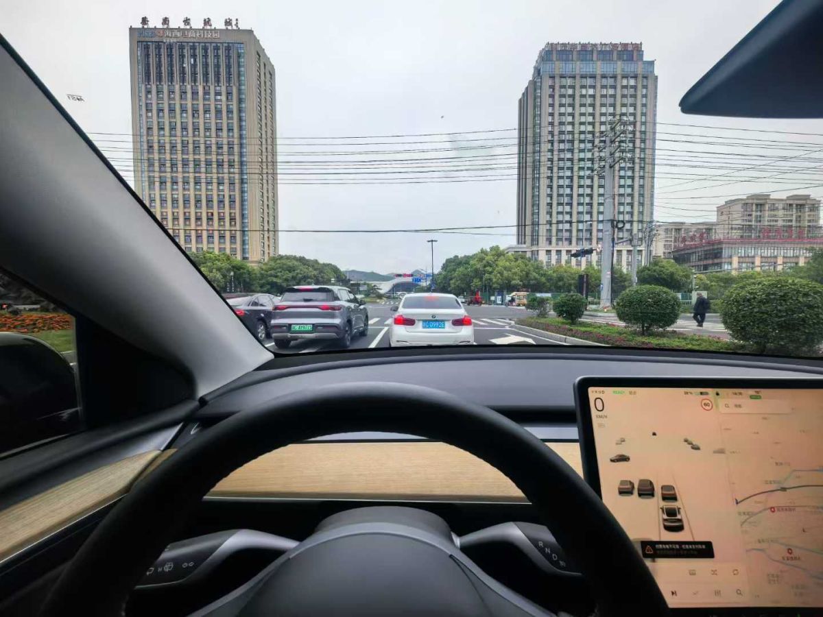 特斯拉 Model Y  2022款 Performance高性能全輪驅(qū)動版圖片